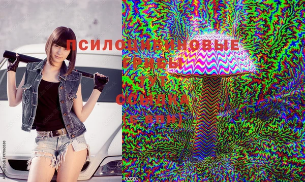 альфа пвп Горнозаводск
