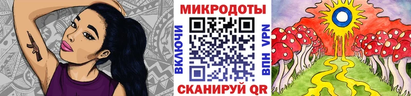 Галлюциногенные грибы GOLDEN TEACHER Купить Тихорецк